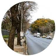 Roof and wall coating services