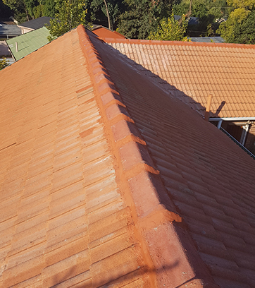 Roof Coatings