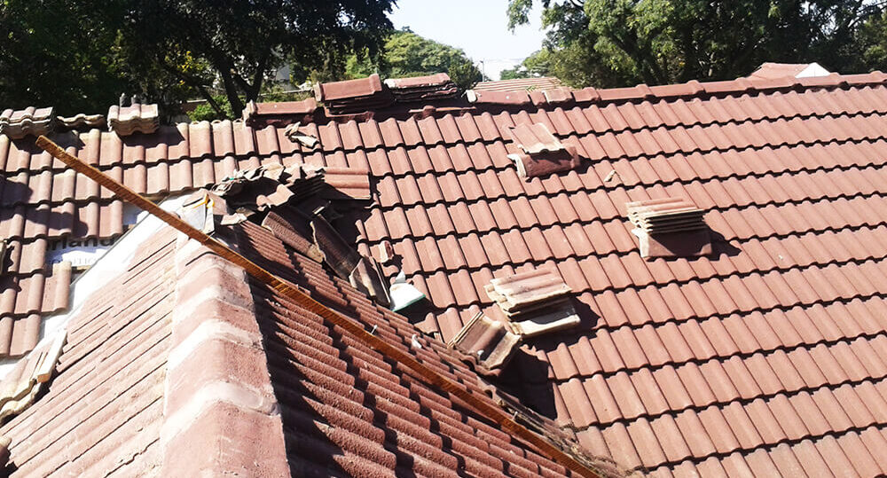 Roof Maintenance Tips Every Property Owner Should Know