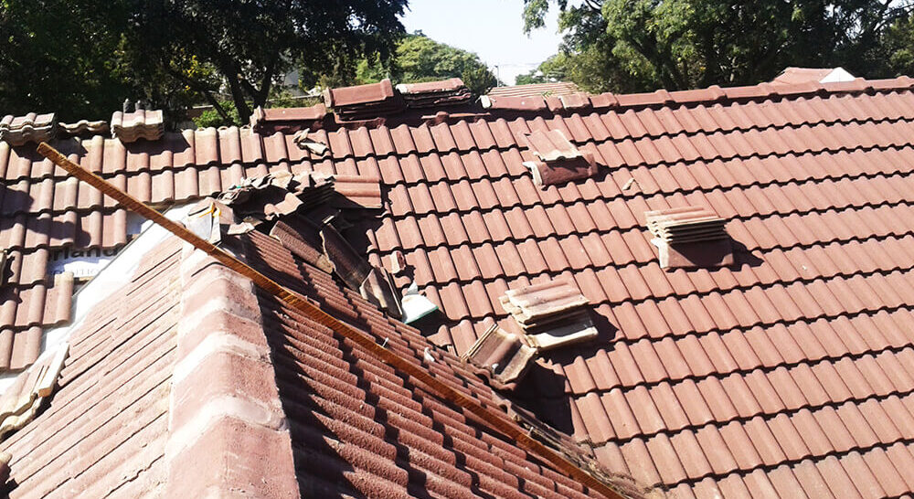 Roof Maintenance Tips Every Property Owner Should Know