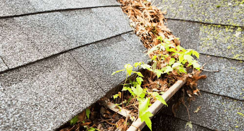 The Hidden Damage Caused by Blocked Gutters
