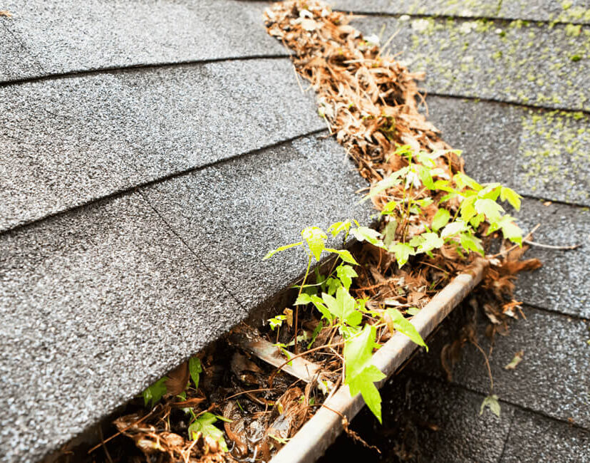 The Hidden Damage Caused by Blocked Gutters