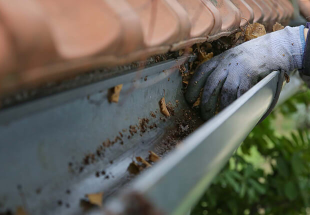 Gutter maintenance service improving roof drainage performance