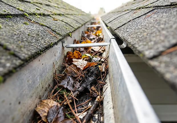 Residential gutter cleaning protecting home from water damage