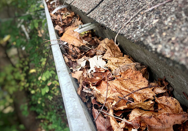 Commercial gutter cleaning for office and retail buildings