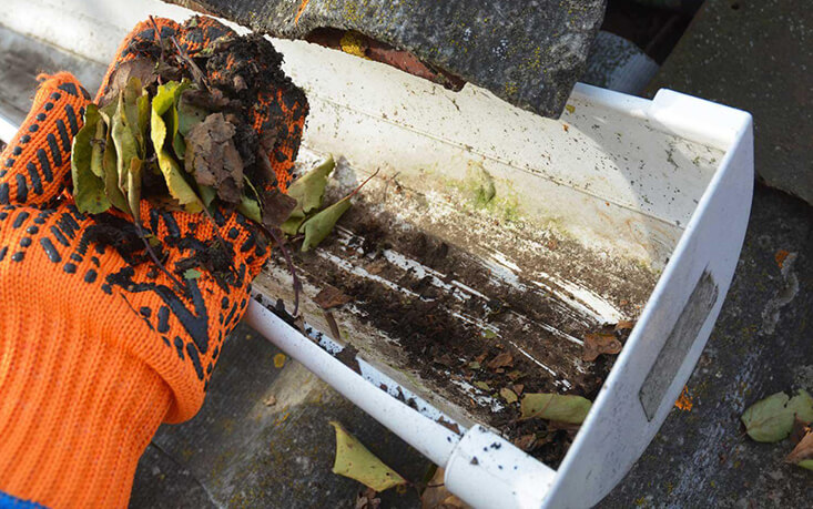 Professional gutter cleaning service removing leaves and debris
